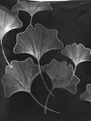 Black & Silver Set of 5 Foil  Patterned Velvet Square Cushion Covers