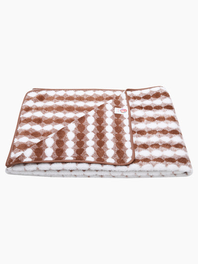 Set of 3 Brown & White Solid Microfiber Towels