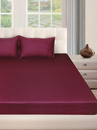 250 TC Burgundy Bedsheet with 2 Pillow Covers