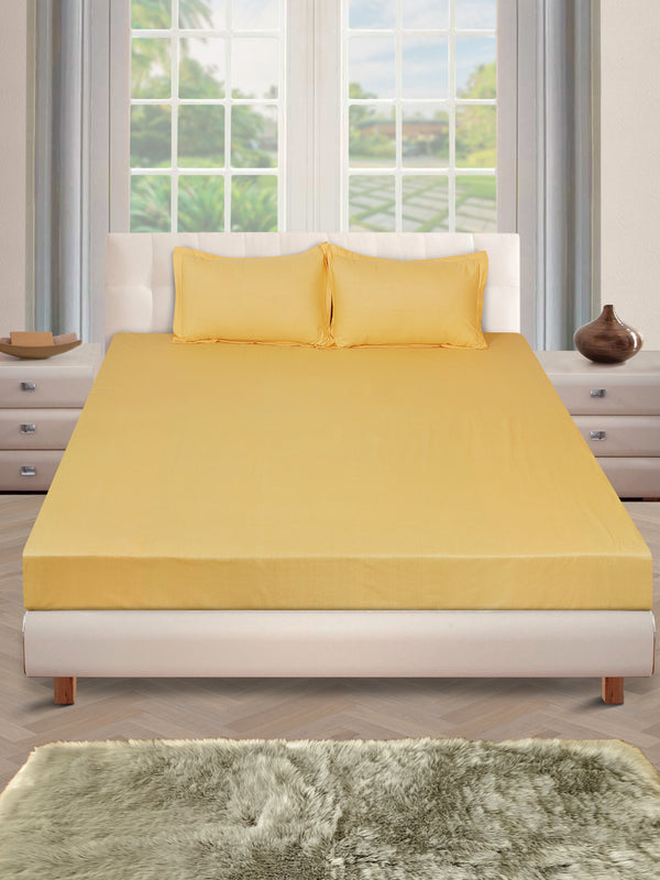 250 TC Gold Bedsheet with 2 Pillow Covers