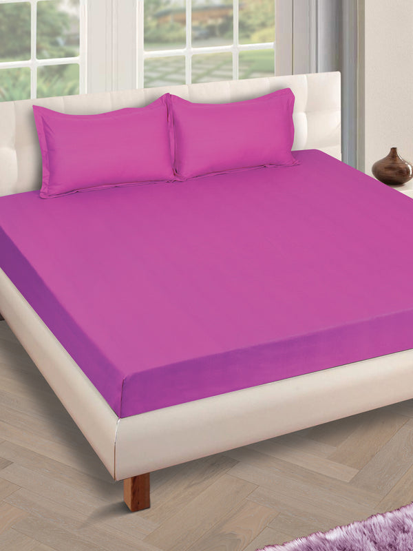 250 TC Violet Bedsheet with 2 Pillow Covers