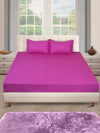 250 TC Violet Bedsheet with 2 Pillow Covers