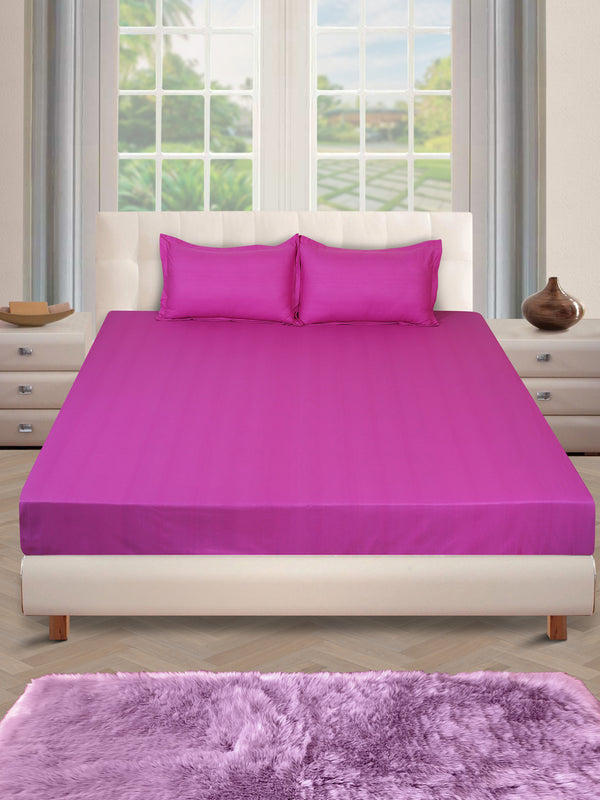 250 TC Violet Bedsheet with 2 Pillow Covers