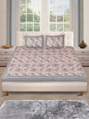 180 TC Beige & Grey Double Bedsheet with 2 Pillow Covers