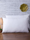 White Set of 2 Cushions