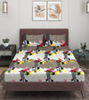 144 TC Multicolor Double Bedsheet with 2 Pillow Covers