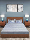 Blue & White Stripes Patterned 210 TC Queen Bedsheet with 2 Pillow Covers