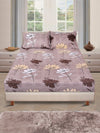 ROMEE Beige Floral 150 TC King Bedsheet with 2 Pillow Covers