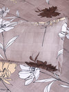 ROMEE Beige Floral 150 TC King Bedsheet with 2 Pillow Covers