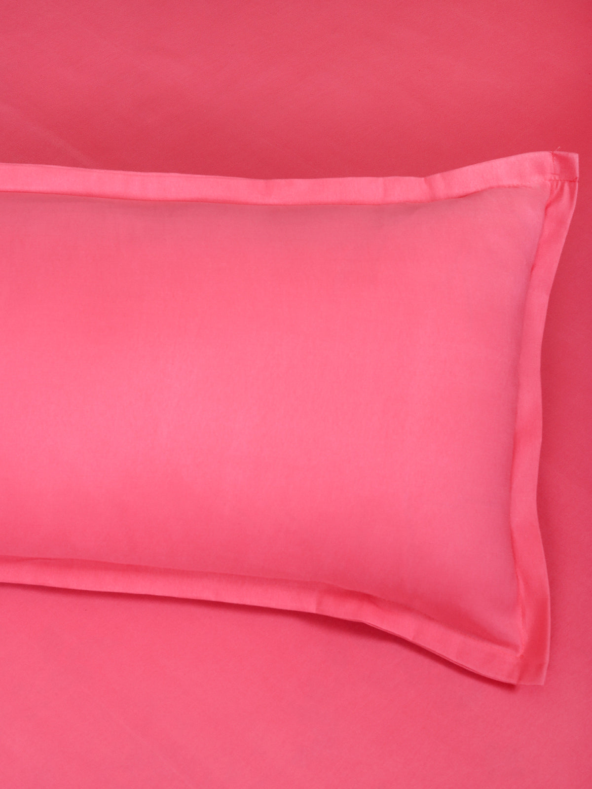 ROMEE Pink Solid 150 TC King Bedsheet with 2 Pillow Covers