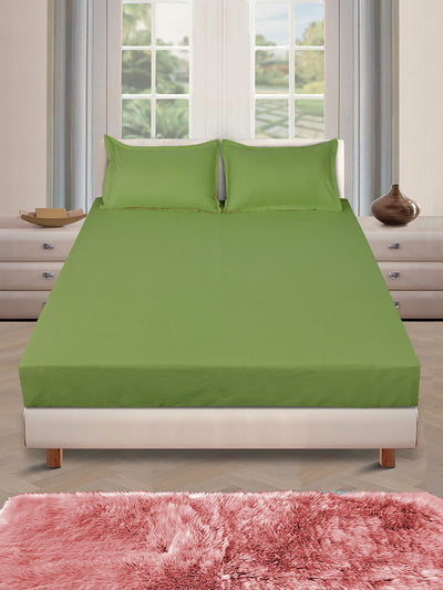 ROMEE Olive Green Solid 150 TC King Bedsheet with 2 Pillow Covers