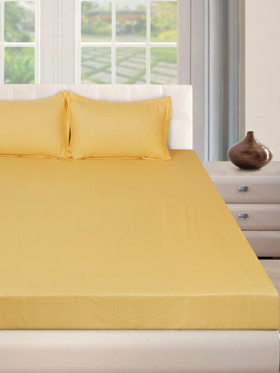 250 TC Gold Bedsheet with 2 Pillow Covers