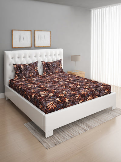 144 TC Coffee Brown Double Bedsheet with 2 Pillow Covers