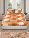 144 TC Brown Double Bedsheet with 2 Pillow Covers