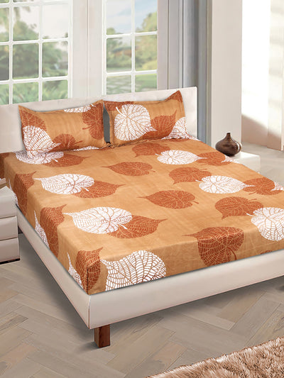 144 TC Brown Double Bedsheet with 2 Pillow Covers