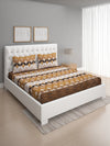 144 TC Brown & White-1 Double Bedsheet with 2 Pillow Covers