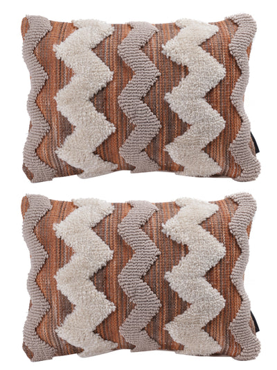 Beige & Brown Set of 2 Cushion Covers