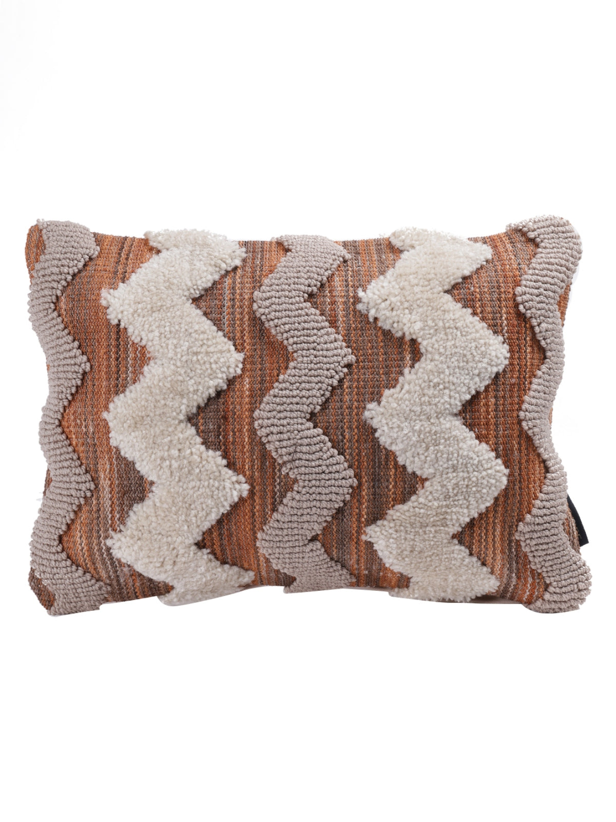 Beige & Brown Set of 2 Cushion Covers