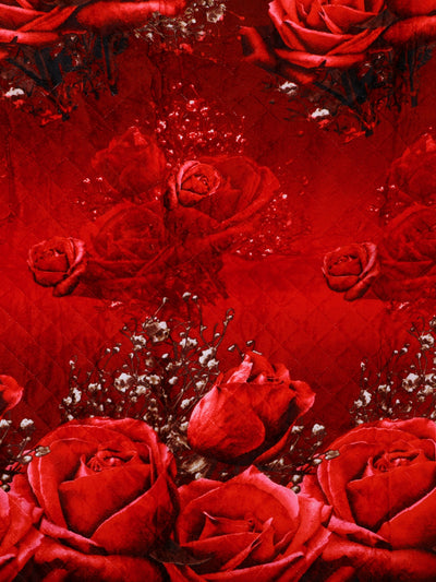 Red AC Room 500 GSM Polyester Coral Fleece Blanket