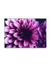 Purple Floral Patterned Doormat, 16 Inch x 24 Inch